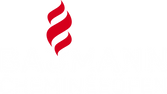Baumann Cheminéeöfen